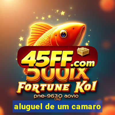 aluguel de um camaro